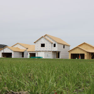 Horace_Houses300x300.jpg